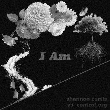 shannon curtis vs control.org I Am remix single